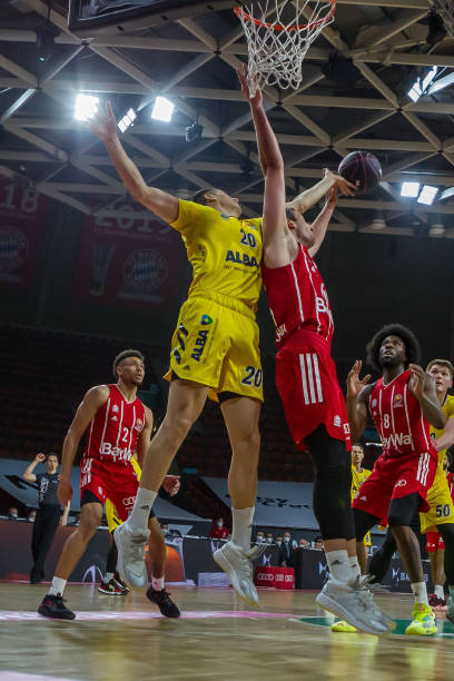 或许将在新 或许将在新